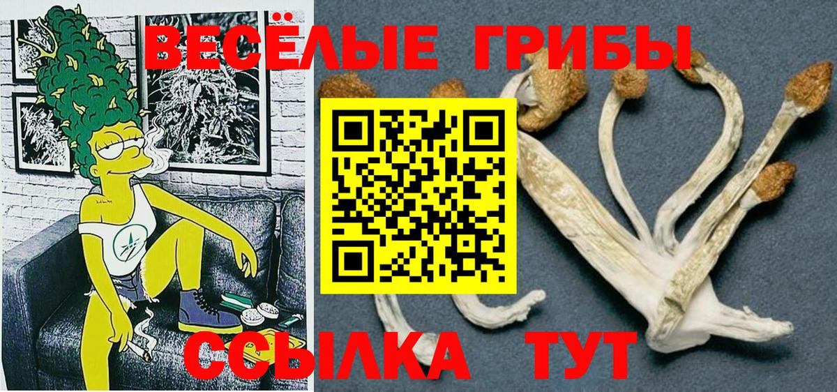 Галлюциногенные грибы мухоморы Омск