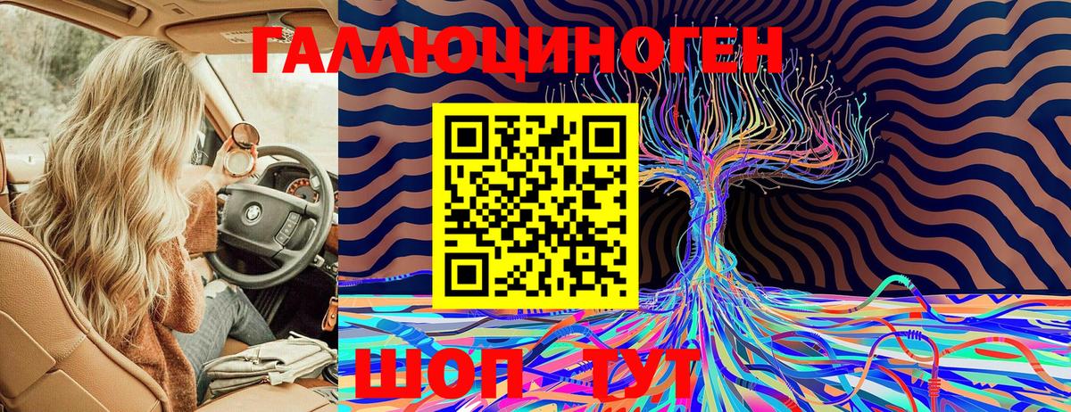 Галлюциногенные грибы Psilocybine cubensis  цена наркотик  Омск  Вход с VPN 